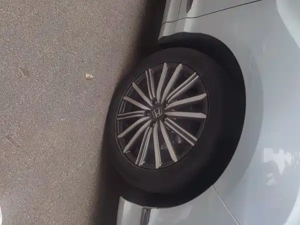 Honda Elysion 2024