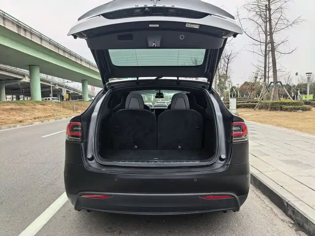 Tesla Model X 2019 — фото 15