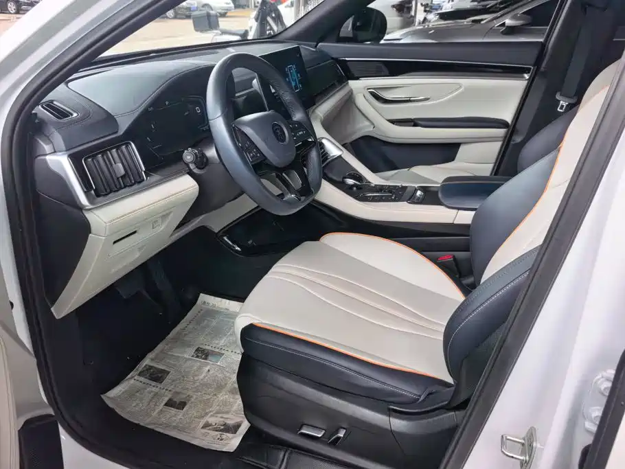 BYD Song PLUS New Energy 2022 — фото 9