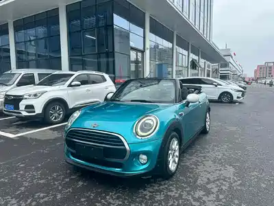 MINI MINI 2018