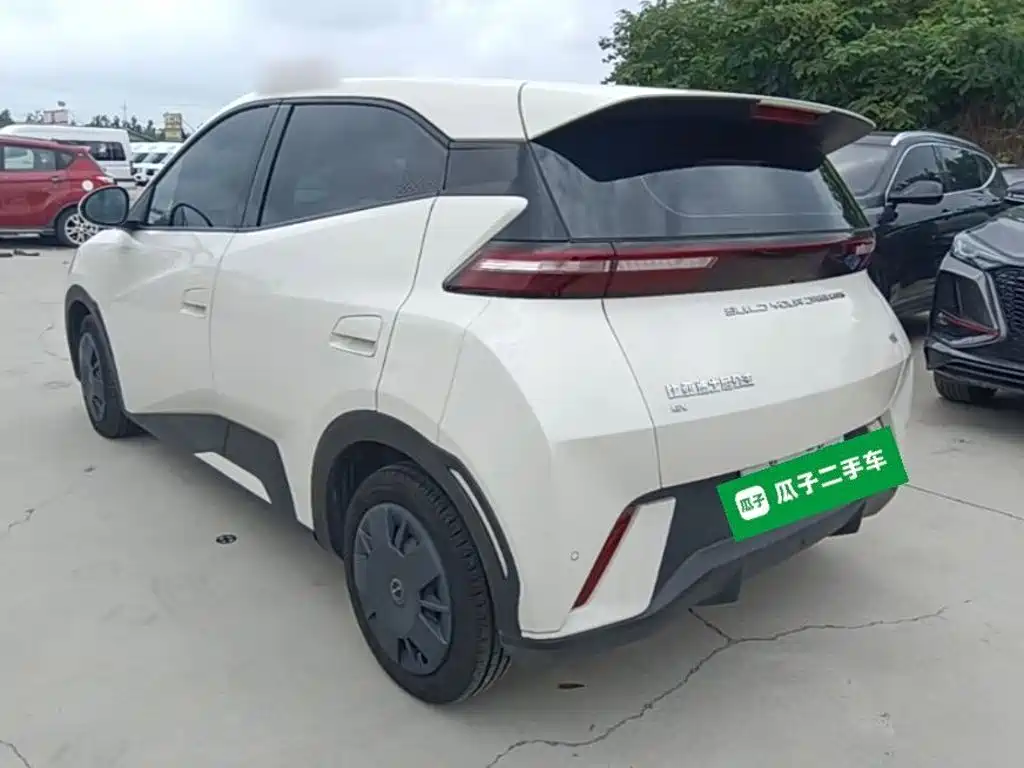 BYD Seagull 2024