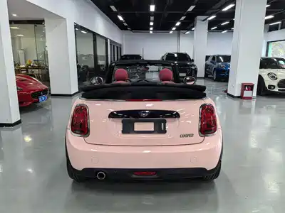 MINI MINI 2018