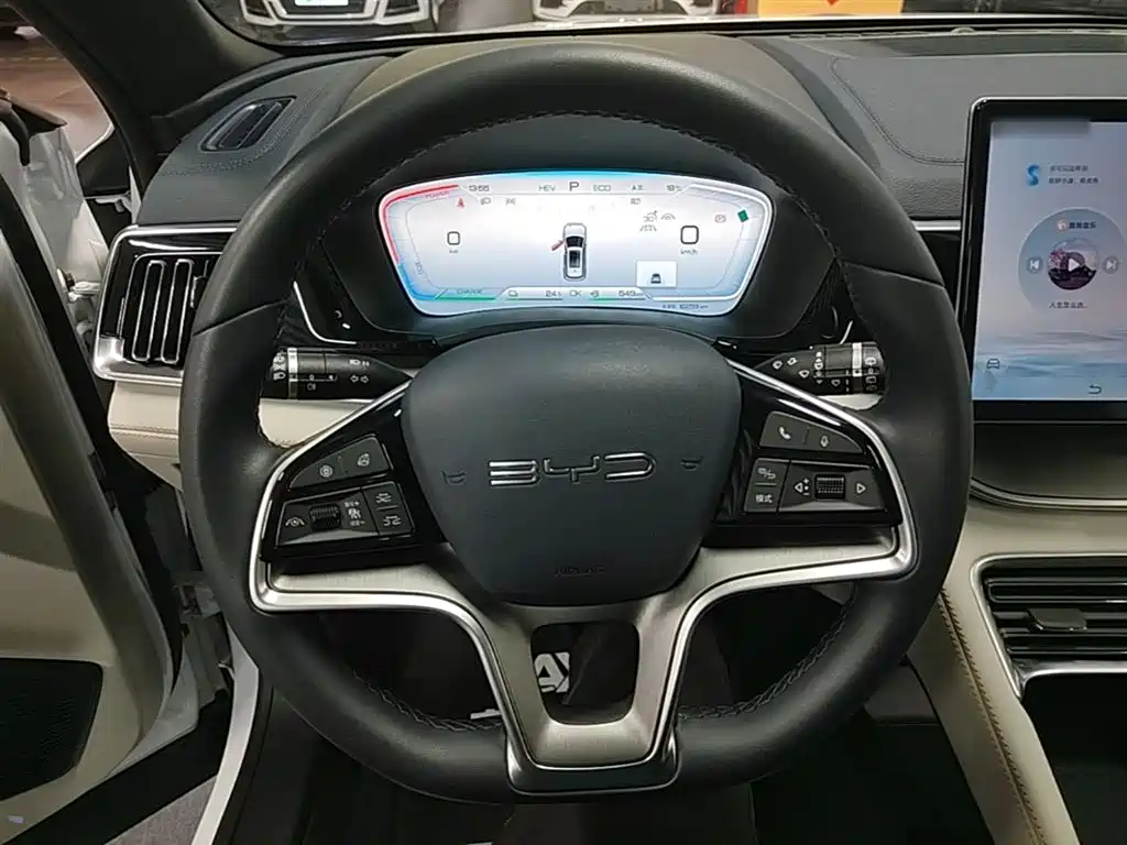 BYD PLUS New Energy 2025 — фото 11