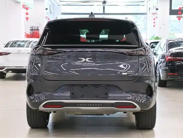 Denza X 2020