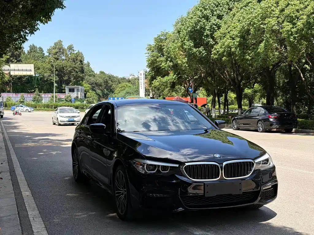 BMW 5 Series 2019