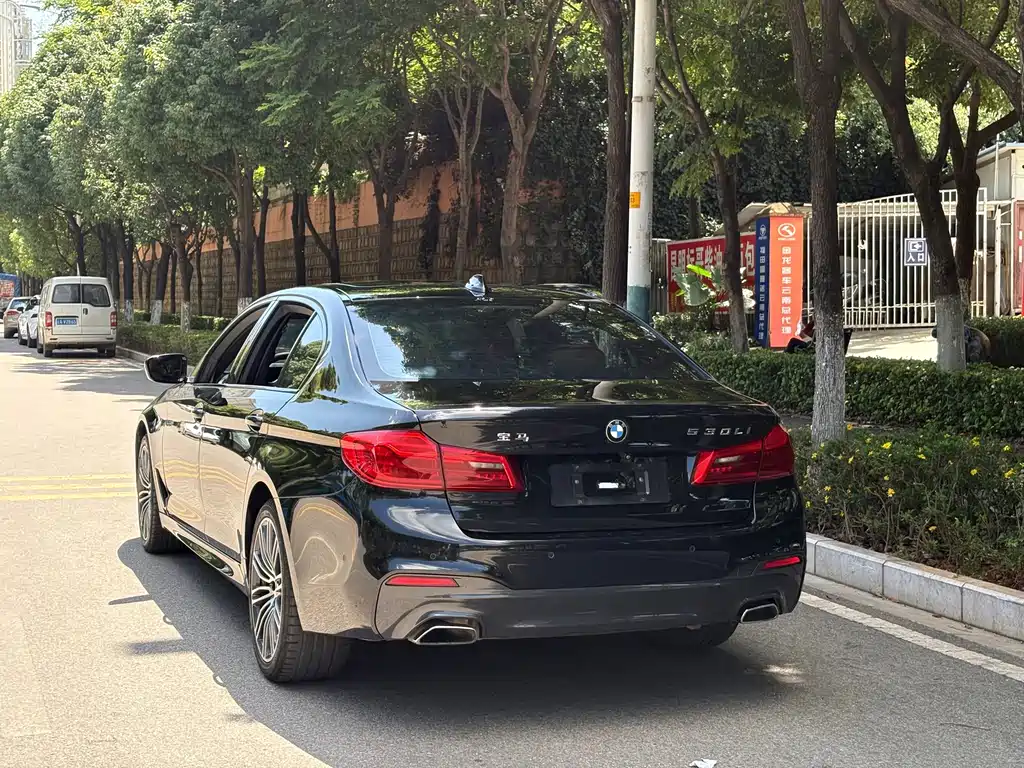 BMW 5 Series 2019 — фото 10