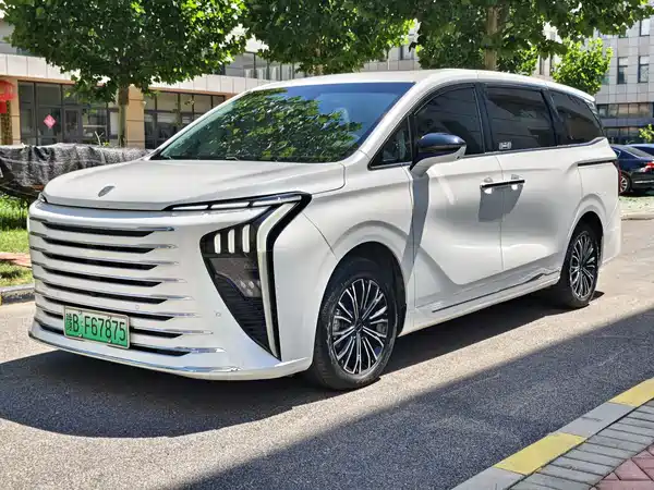 Dongfeng Forthing Xinghai V9 2024