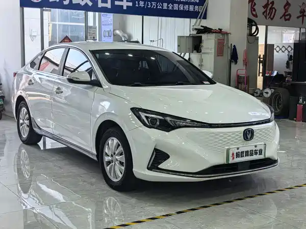 Changan Yidong New Energy 2023