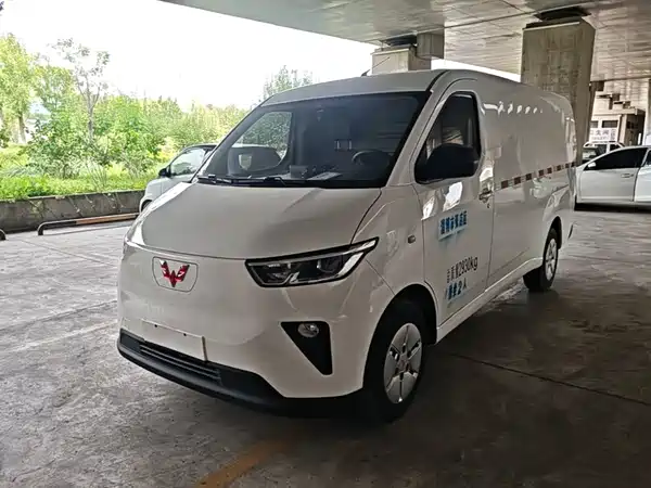 Wuling Yangguang 2024