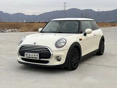 MINI MINI 2017