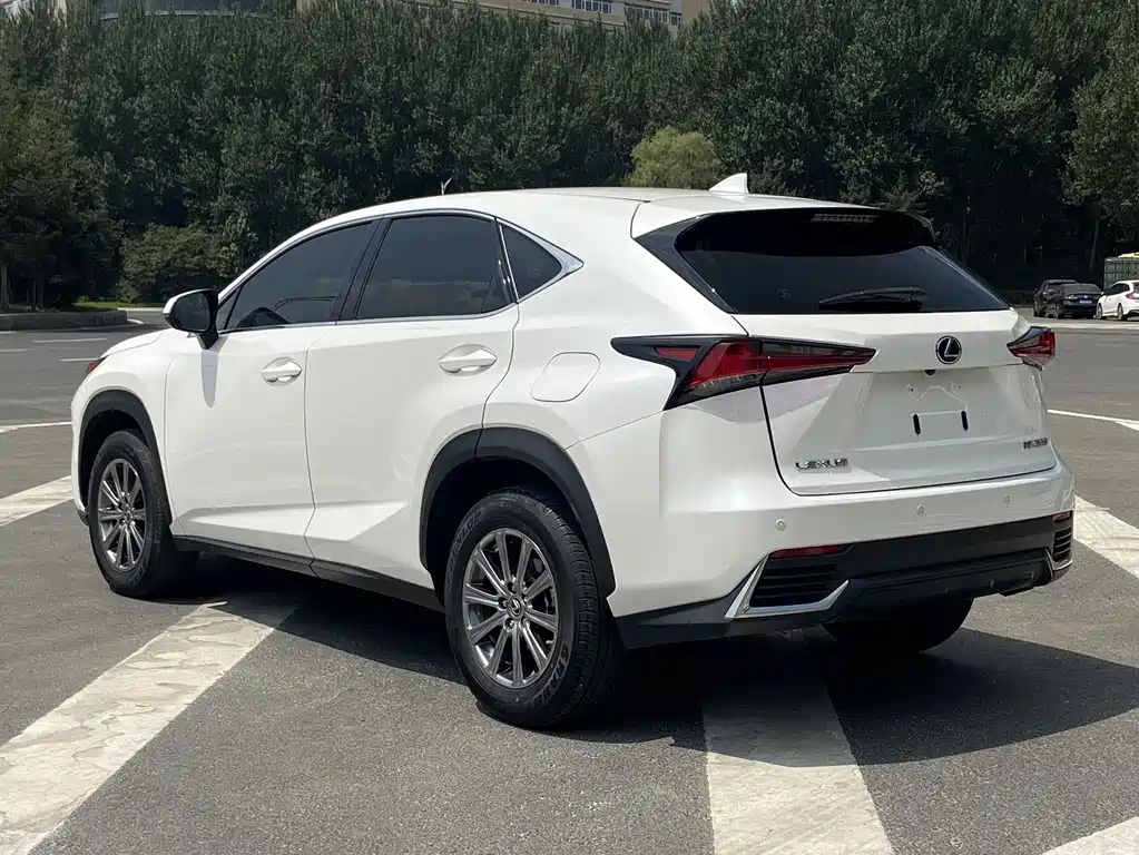 Lexus NX 2020 — фото 15