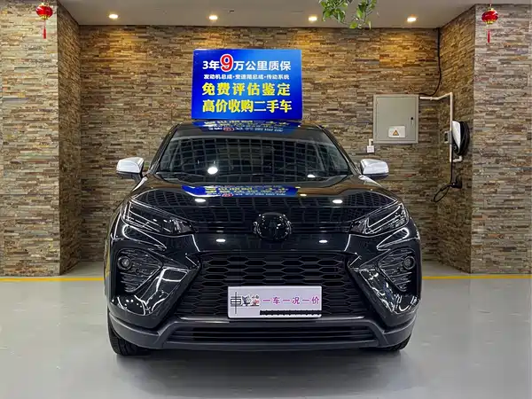 Toyota Wildlander 2024