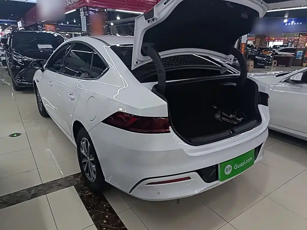 BYD Qin PLUS 2024