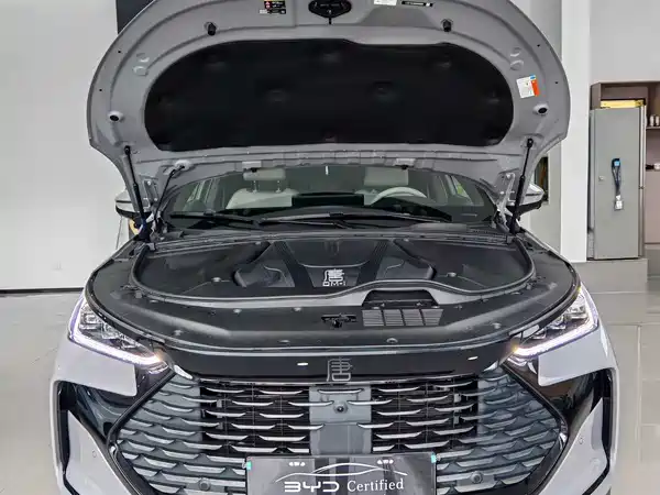 BYD Tang New Energy 2025
