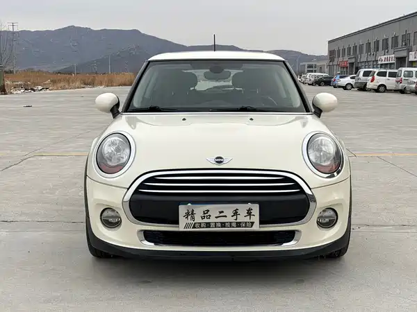 MINI MINI 2017