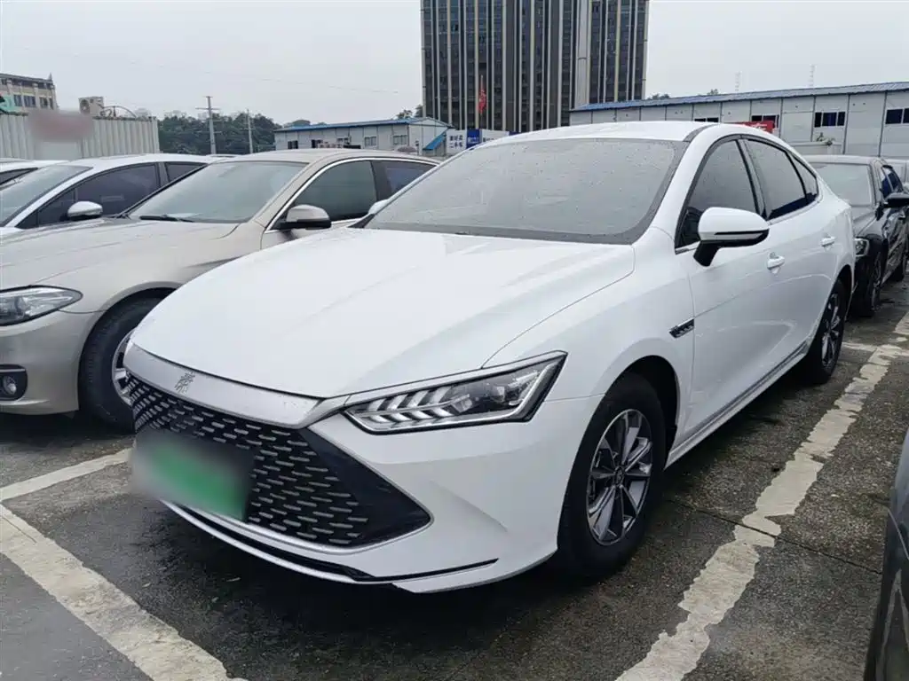 BYD Qin PLUS 2024 — фото 1