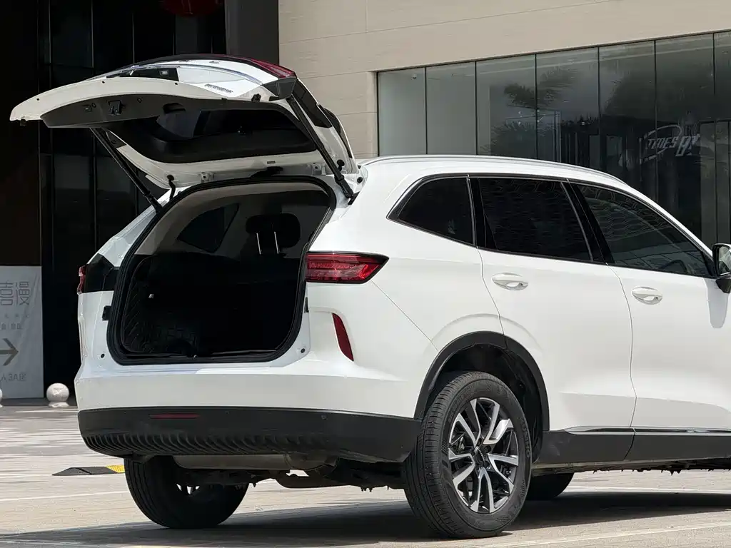 Haval H6 2023 — фото 25