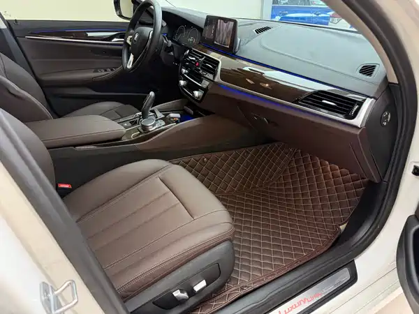 BMW 5 Series 2019