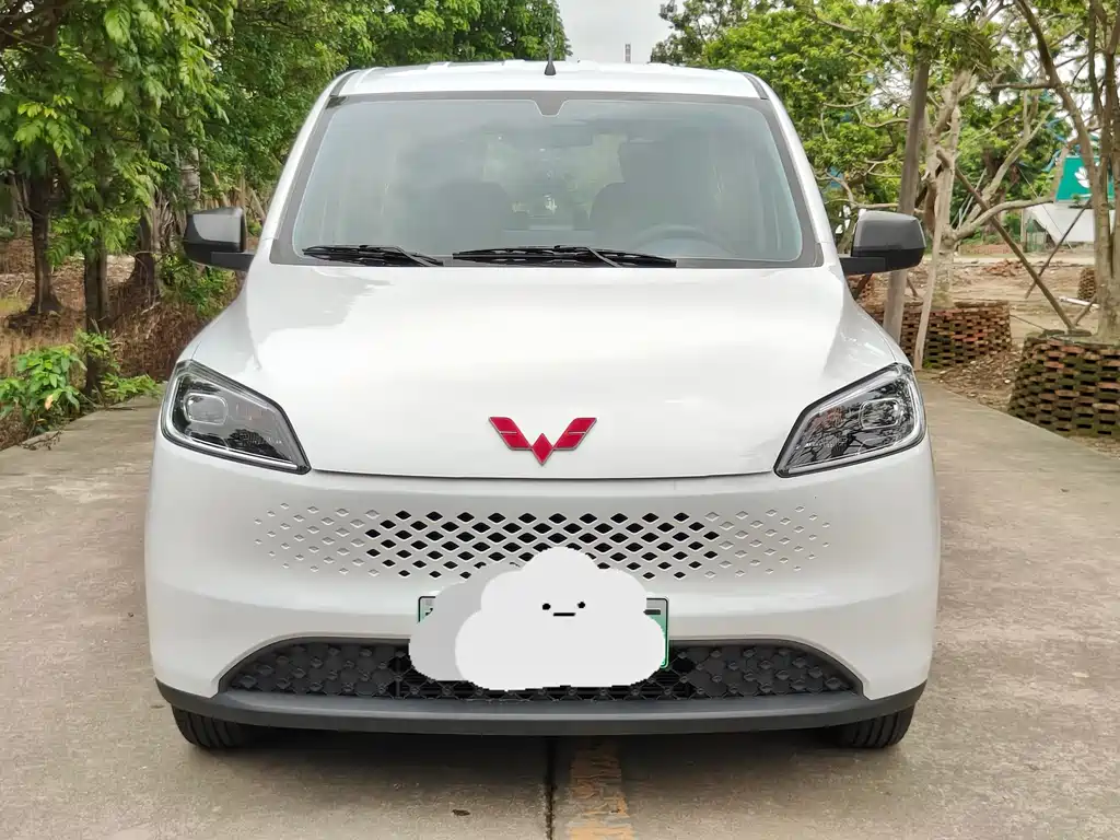 Wuling Hongguang New Energy 2025