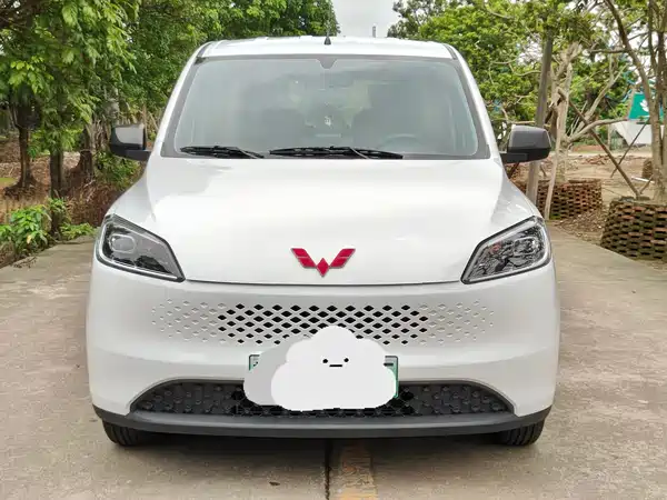 Wuling Hongguang New Energy 2025