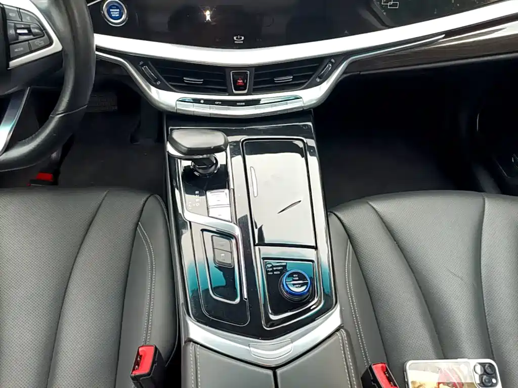 Geely Borui Hybrid 2019 — фото 14