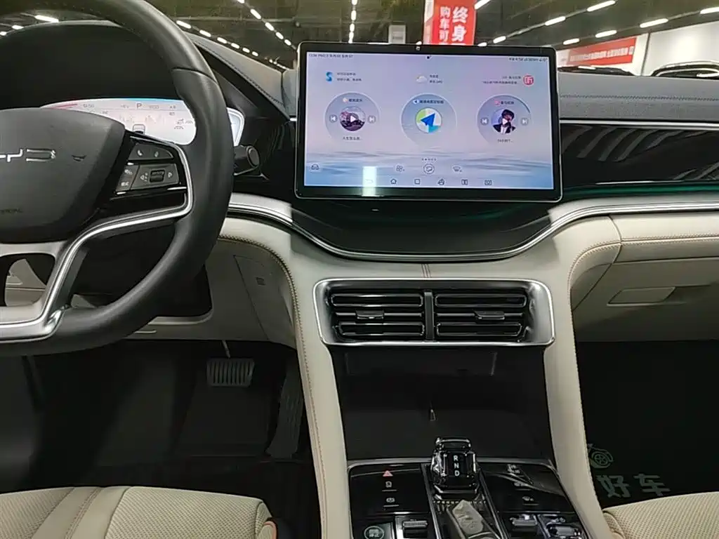 BYD PLUS New Energy 2025 — фото 13