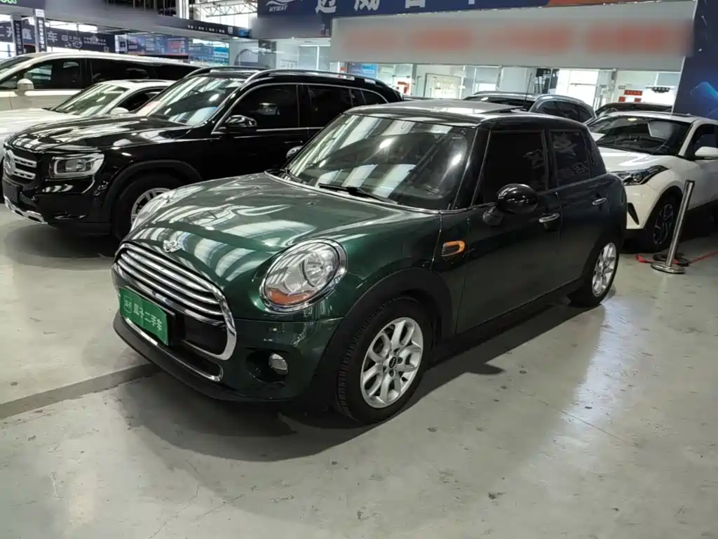 MINI MINI 2015
