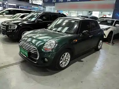 MINI MINI 2015