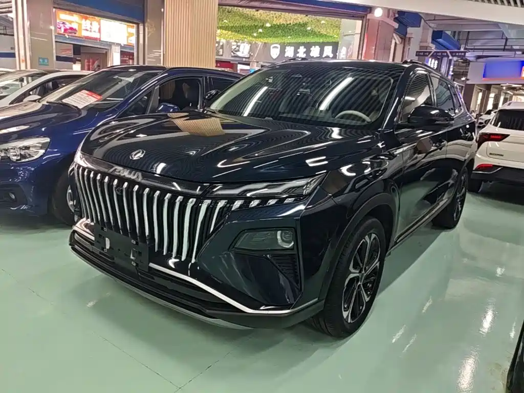 Dongfeng Haoji 2023