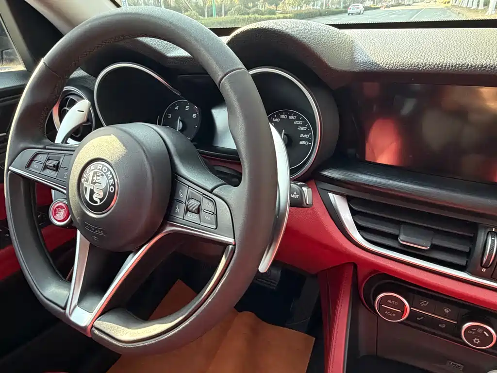Alfa Romeo Stelvio 2019 — фото 15