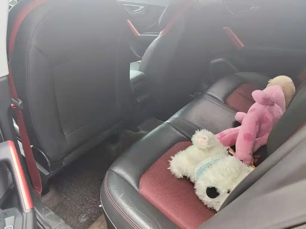 Audi Q2L 2019