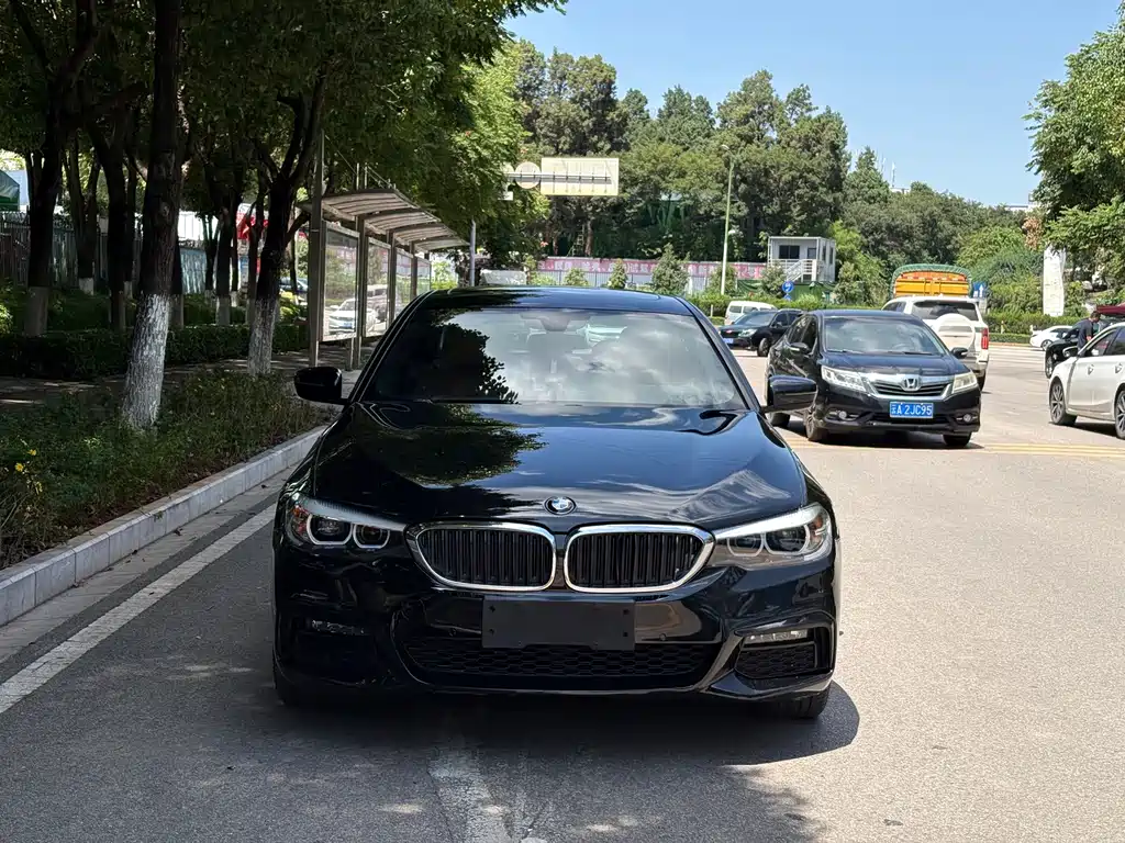 BMW 5 Series 2019