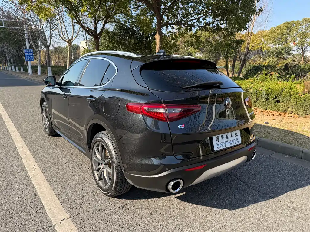 Alfa Romeo Stelvio 2019 — фото 25