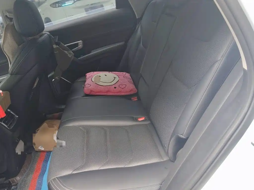BYD Song Pro New Energy 2019 — фото 18