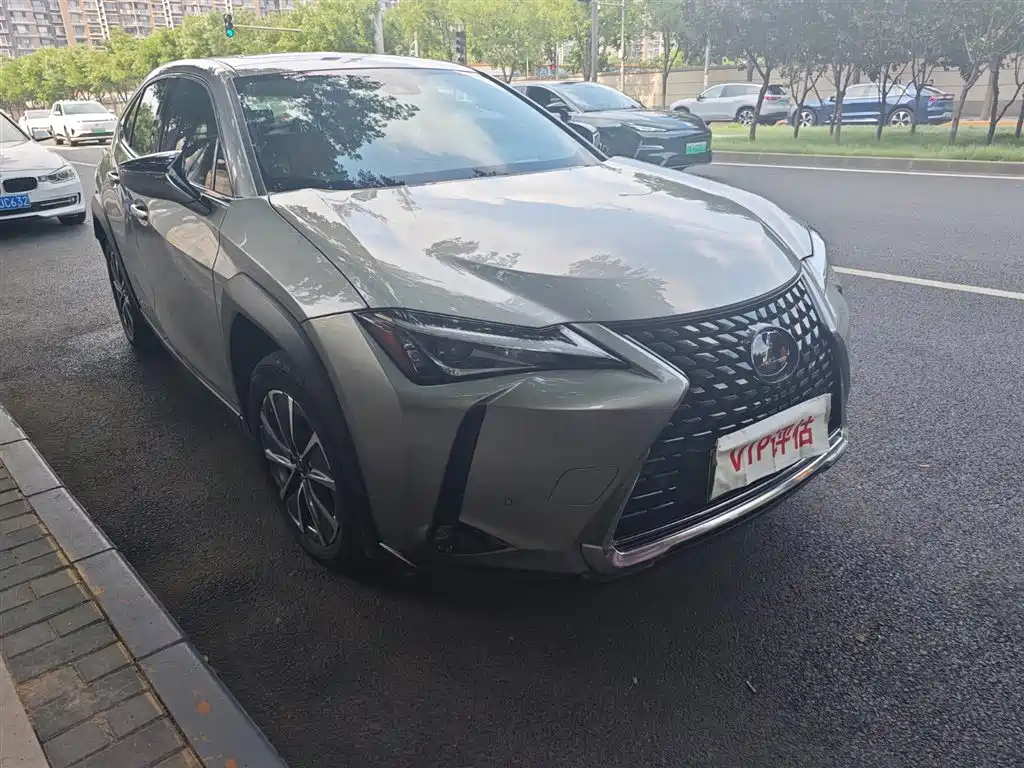 Lexus UX New Energy 2020 — фото 3