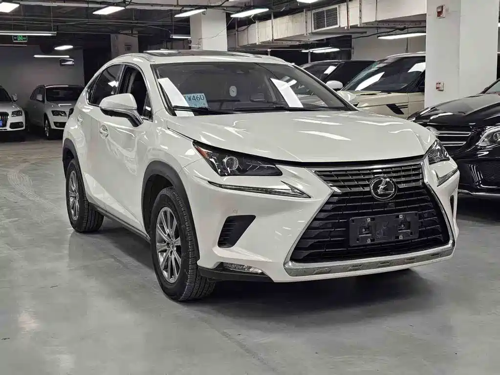 Lexus NX 2020 — фото 4
