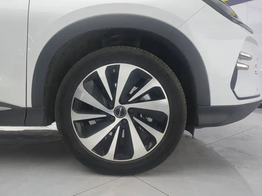 BYD Song PLUS New Energy 2024 — фото 6