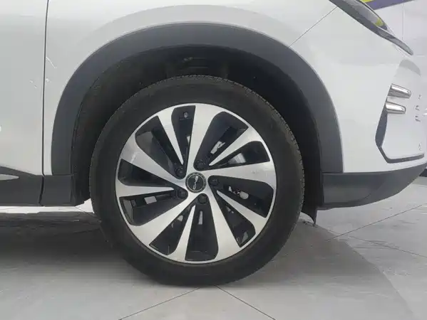 BYD Song PLUS New Energy 2024