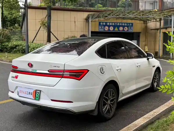 BYD Qin Pro NEV 2019