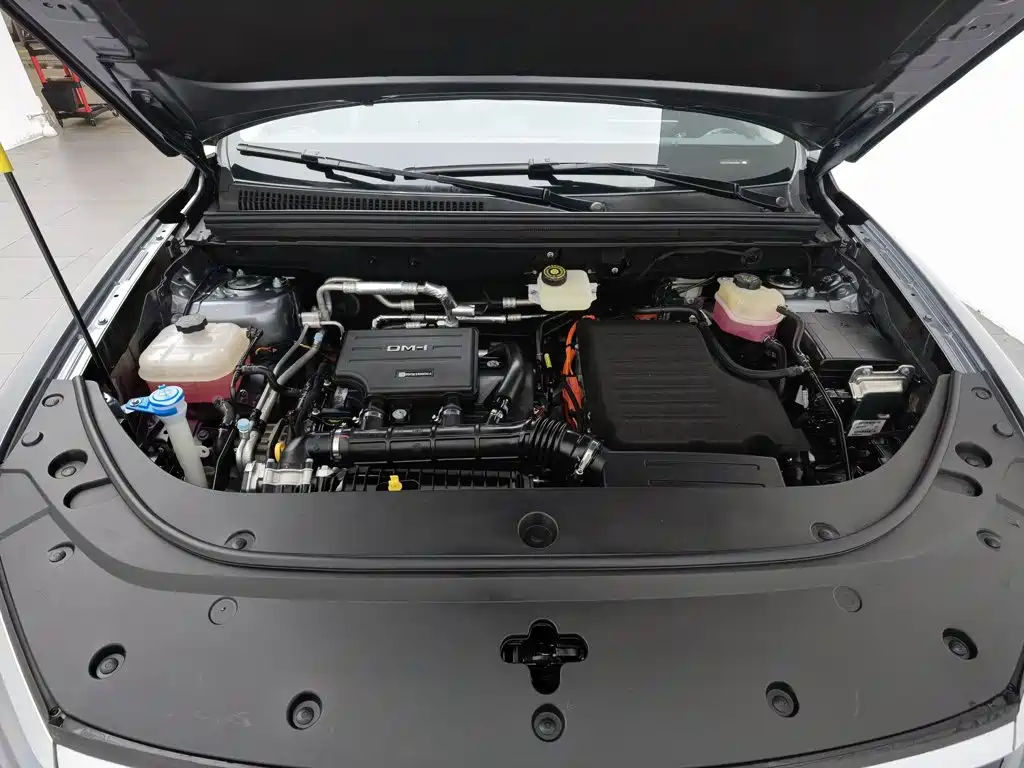 BYD Sealion 05 DM-i 2025 — фото 6
