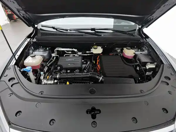 BYD Sealion 05 DM-i 2025