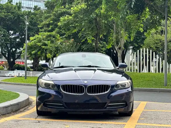 BMW Z4 2010