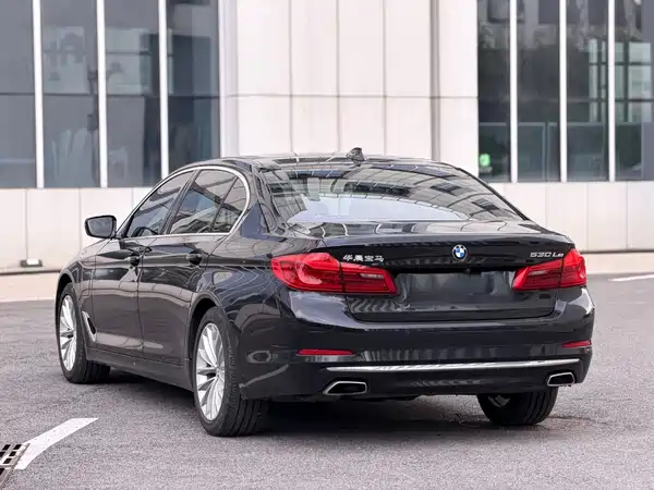 BMW 5 Series New Energy 2020