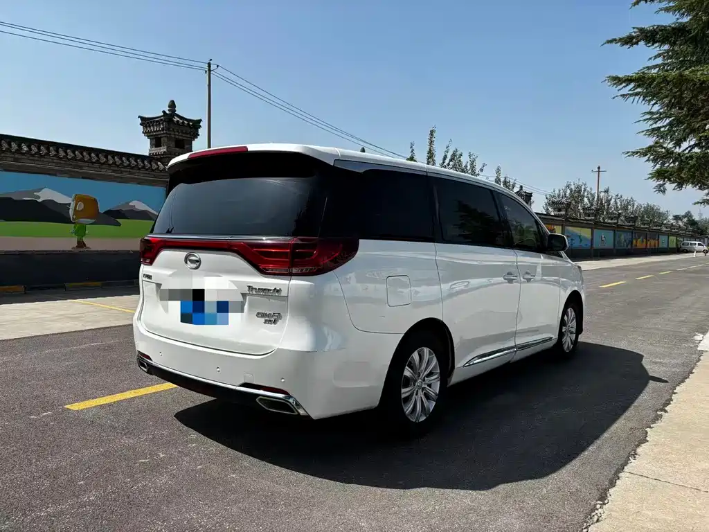 GAC Motor Trumpchi M8 2019 — фото 14