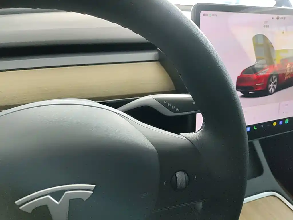 Tesla Model Y 2023 — фото 14