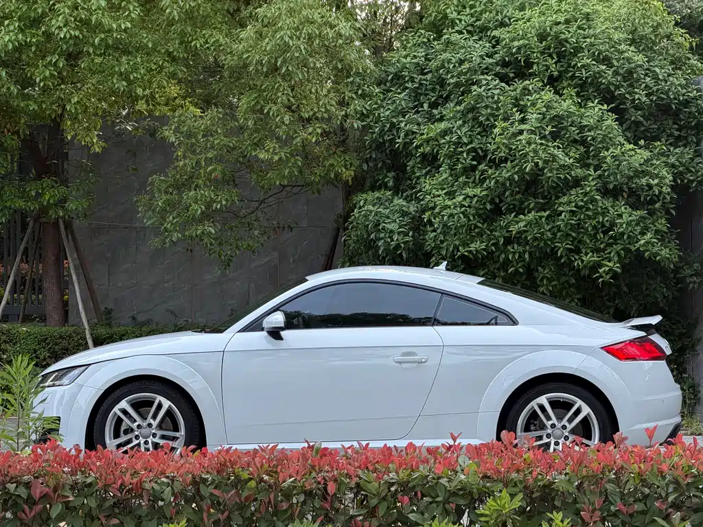 Audi TT 2016 — фото 10