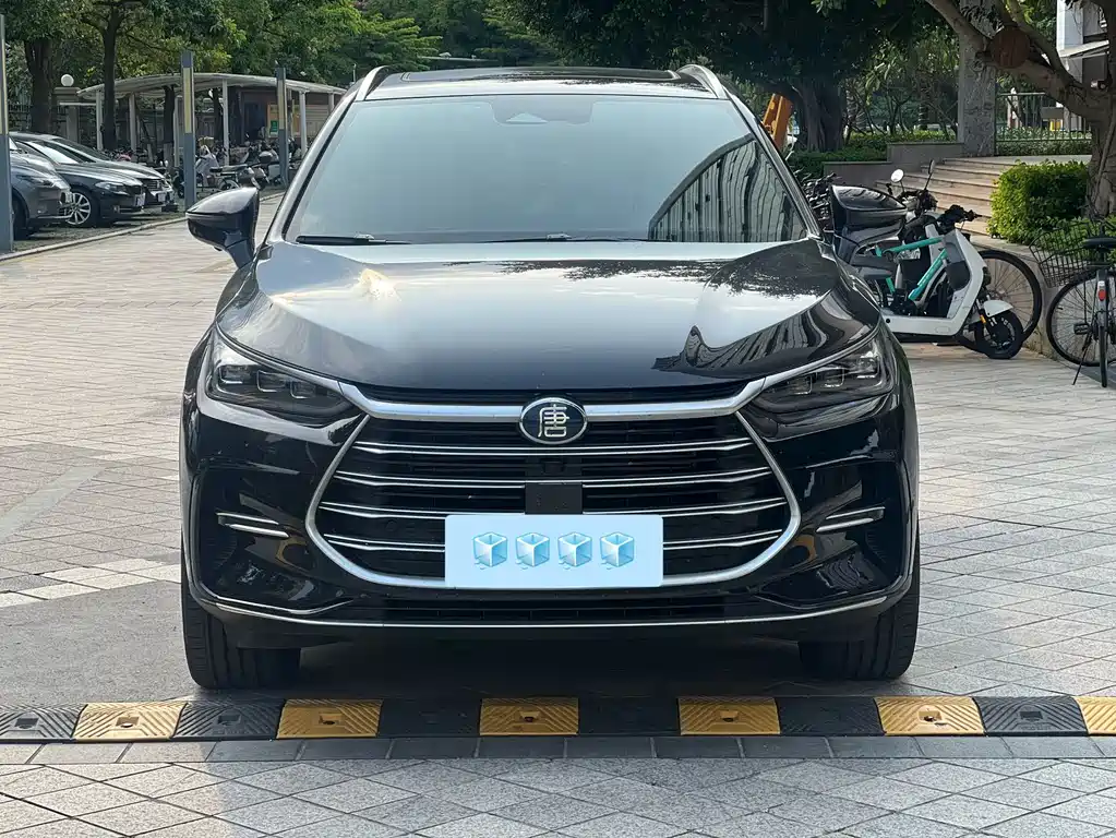 BYD Tang New Energy 2023 — фото 2