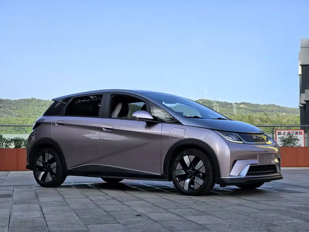 BYD Dolphin 2022