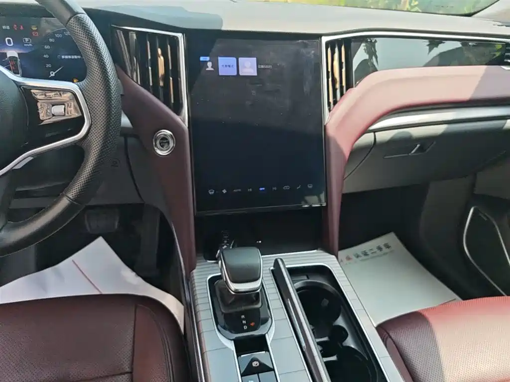 Hongqi HS7 PHEV 2025 — фото 13