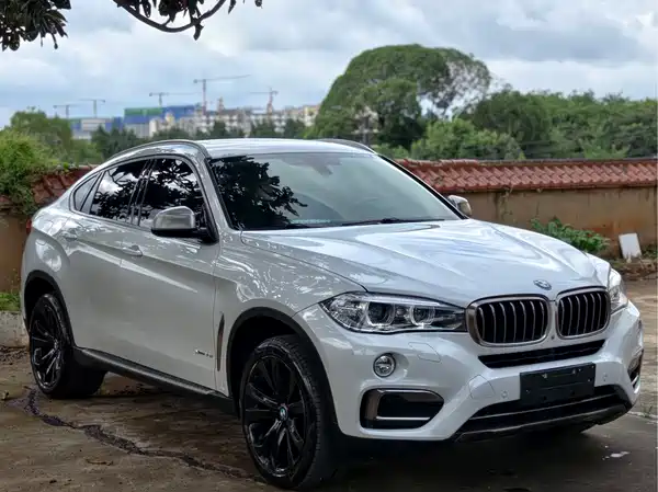 BMW X6 2019